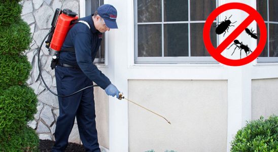 Kemalpaşa Tahtakurusu İlaçlama böcek ilaçlama ve haşere kontrolü — ilaclama-tr.com